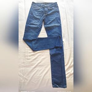 Joe's Skinny Booty Fit Denim